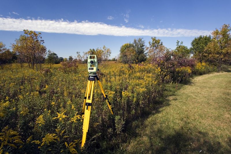 Professional Surveyors